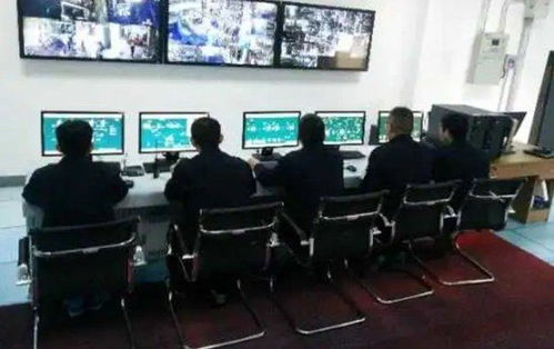 雙樂股份 兩大核心產品國內市占率領先 環保優勢突出打造綠色工廠